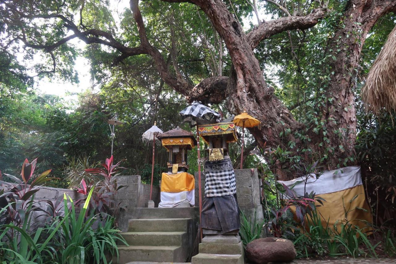 Villa Aditya Tejakula Bagian luar foto