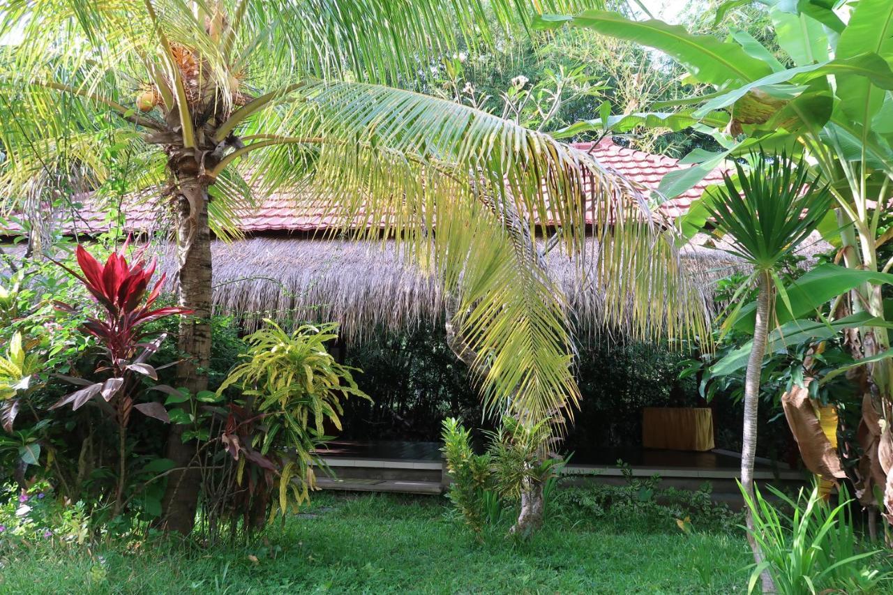 Villa Aditya Tejakula Bagian luar foto